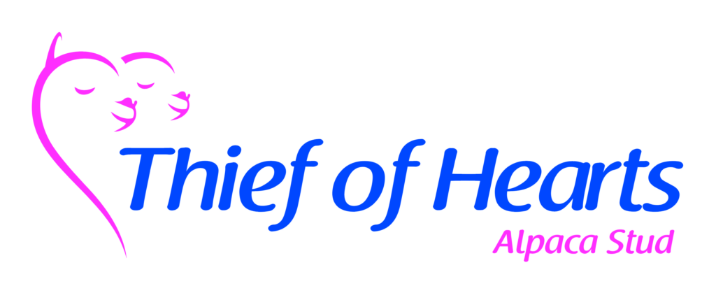 Thief of Hearts logo PNG