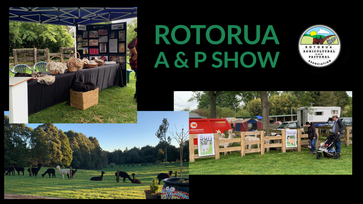 Rrotorua Show Photos