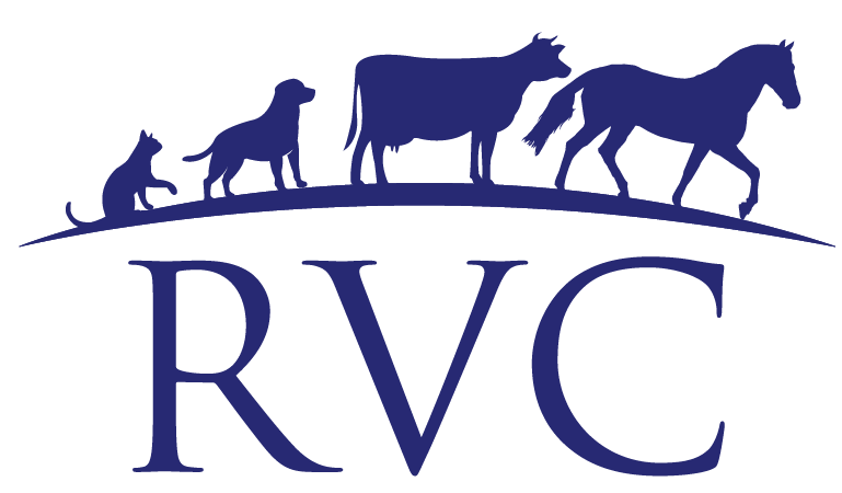 RVC+Logo+Blue_cropped-27