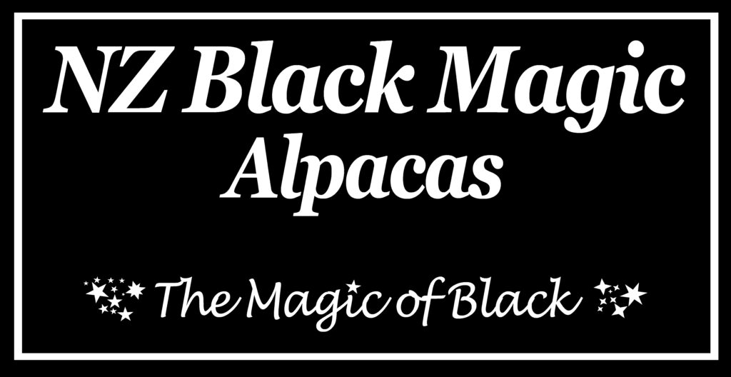 Black magic logo (002)
