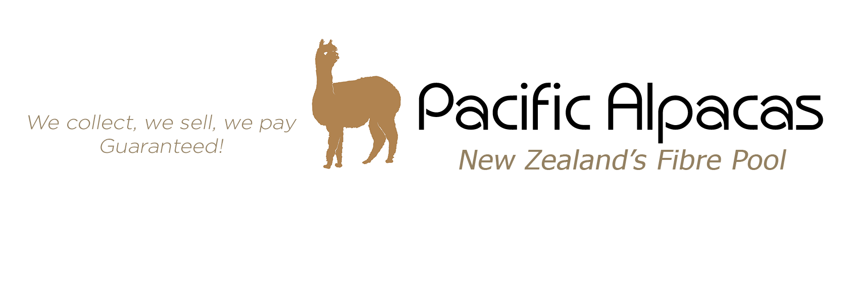 Fibre pool logo long