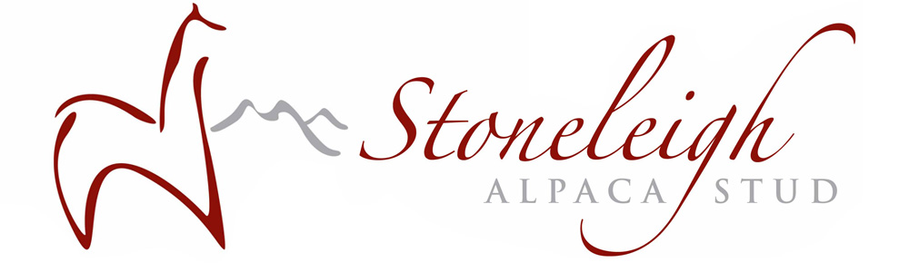 Stoneleigh wide logo (002)