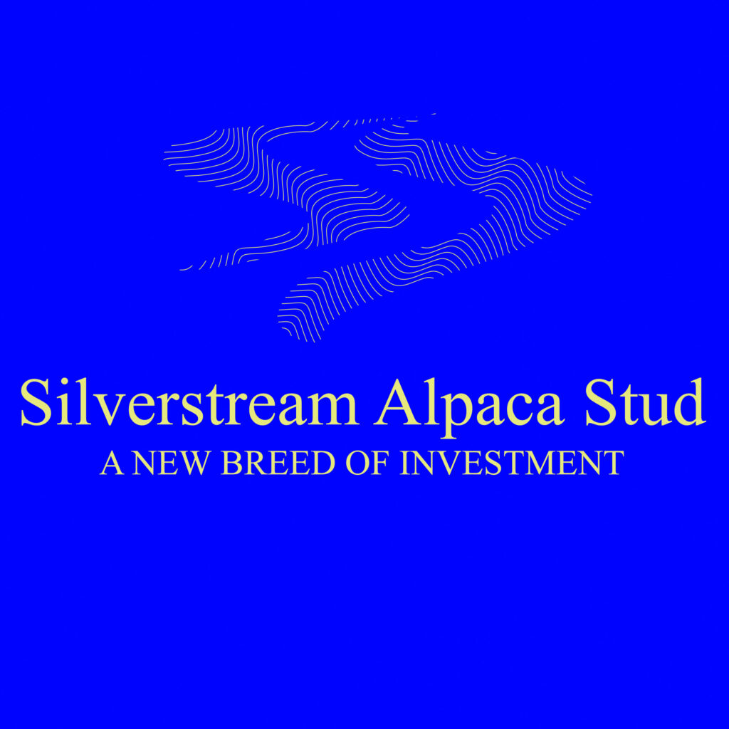 Silverstream logo