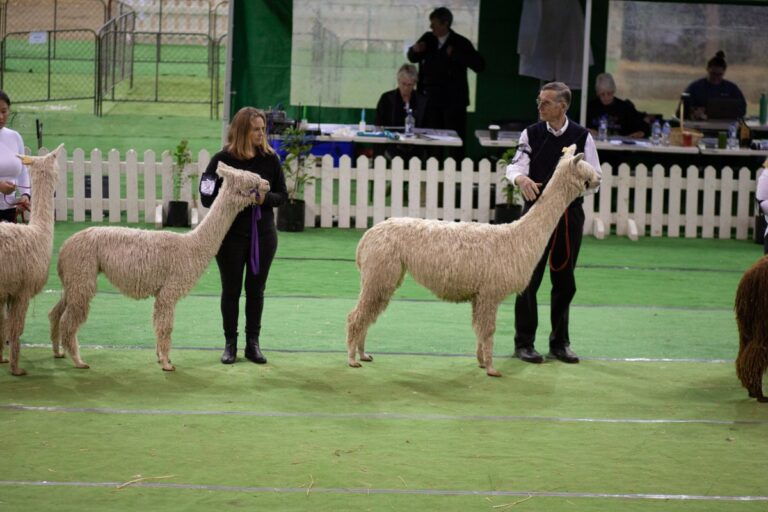 Suri national photo resized