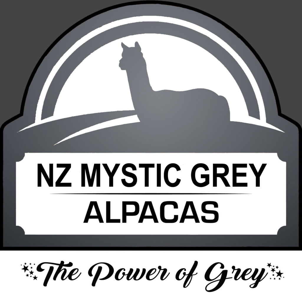 NZ Mystic Grey Logo